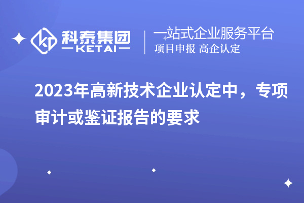 2023年
中，专项审计或鉴证报告的要求