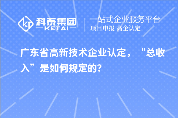 广东省
，“总收入”是如何规定的？