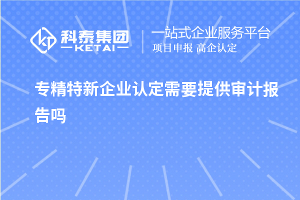 专精特新企业认定需要提供审计报告吗