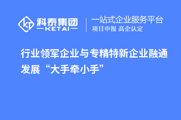 行业领军企业与专精特新企业融通发展“大手牵小手”