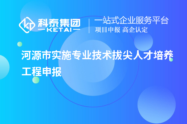 河源市实施专业技术拔尖人才培养工程申报