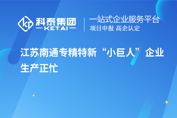 江苏南通专精特新“小巨人”企业生产正忙