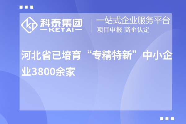 河北省已培育“专精特新”中小企业3800余家