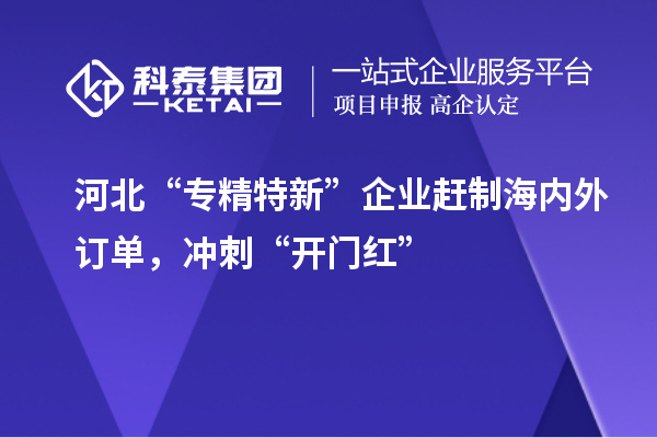 河北“专精特新”企业赶制海内外订单，冲刺“开门红”