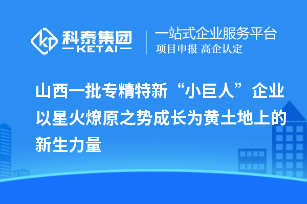 山西一批专精特新“小巨人”企业以星火燎原之势成长为黄土地上的新生力量