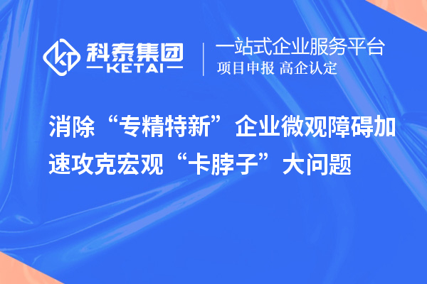 消除“专精特新”企业微观障碍 加速攻克宏观“卡脖子”大问题