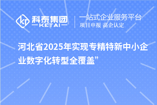 河北省2025年实现专精特新中小企业数字化转型全覆盖”