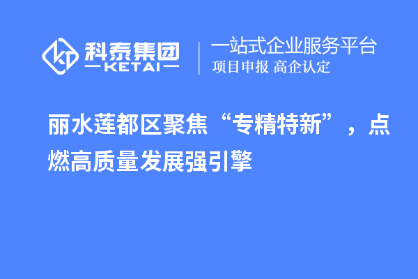 丽水莲都区聚焦“专精特新”，点燃高质量发展强引擎