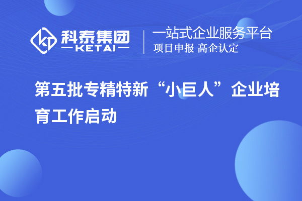 第五批专精特新“小巨人”企业培育工作启动