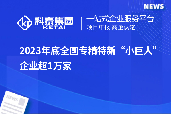 2023年底全国专精特新“小巨人”企业超1万家