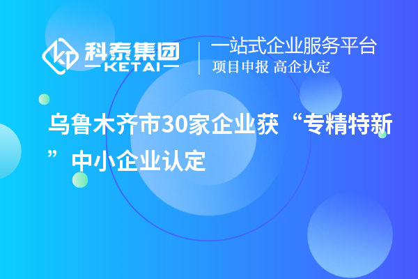 乌鲁木齐市30家企业获“专精特新”中小企业认定