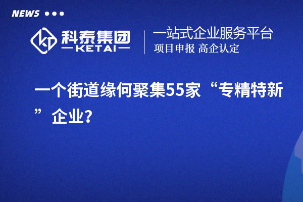 一个街道缘何聚集55家“专精特新”企业？