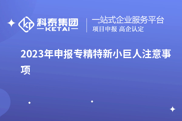 2023年申报专精特新小巨人注意事项