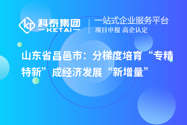 山东省昌邑市：分梯度培育 “专精特新”成经济发展“新增量”