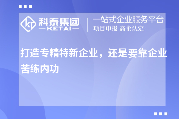 打造专精特新企业，还是要靠企业苦练内功