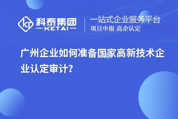 广州企业如何准备国家
审计？