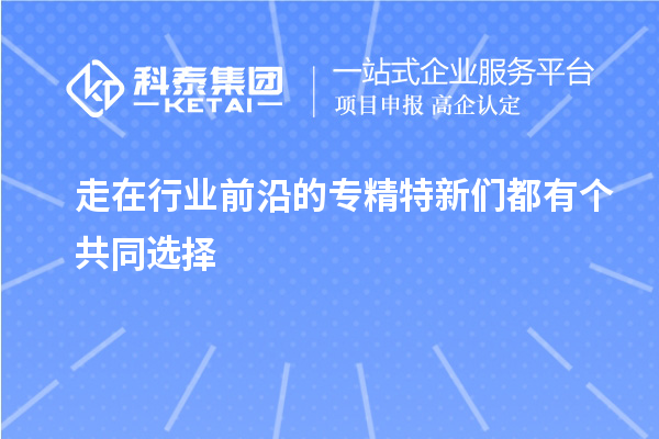 走在行业前沿的专精特新们都有个共同选择