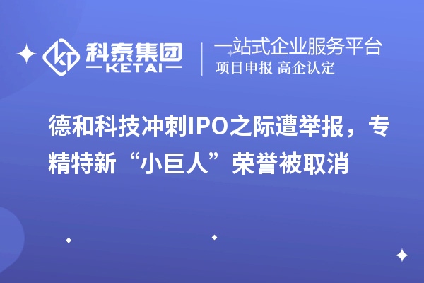 德和科技冲刺IPO之际遭举报，专精特新“小巨人”荣誉被取消