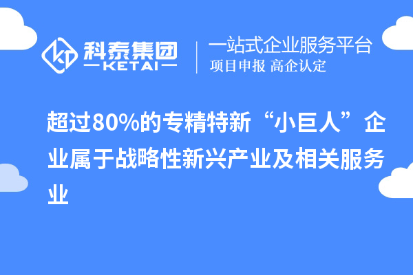 超过80%的专精特新“小巨人”企业属于战略性新兴产业及相关服务业