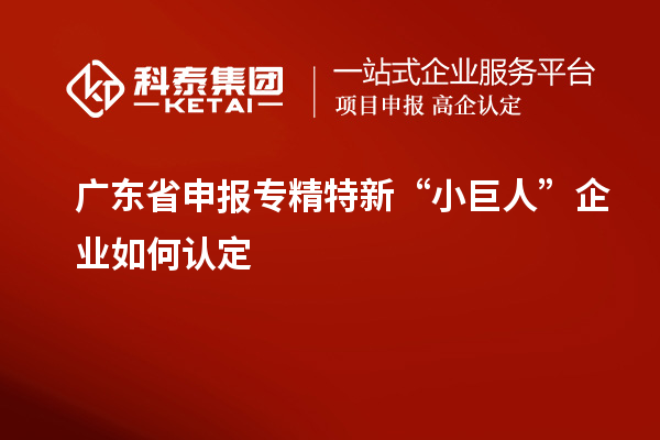 广东省申报专精特新“小巨人”企业如何认定