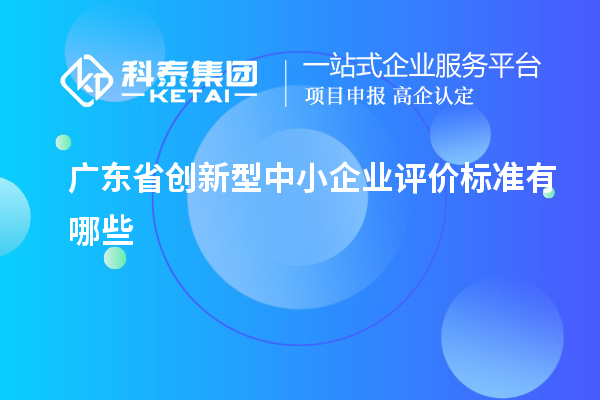 广东省创新型中小企业评价标准有哪些