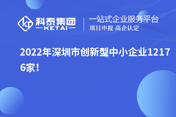 2022年深圳市创新型中小企业12176家！