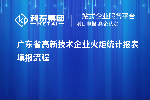 广东省高新技术企业火炬统计报表填报流程