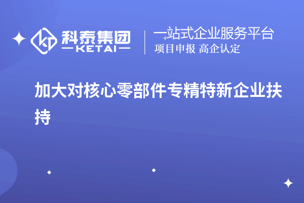 加大对核心零部件专精特新企业扶持