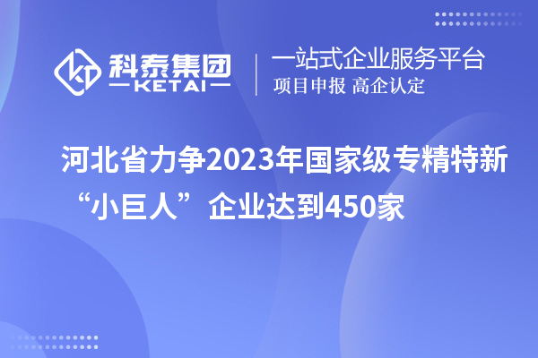 河北省力争2023年国家级专精特新“小巨人”企业达到450家