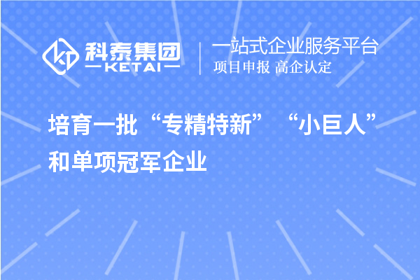 培育一批“专精特新”“小巨人”和单项冠军企业