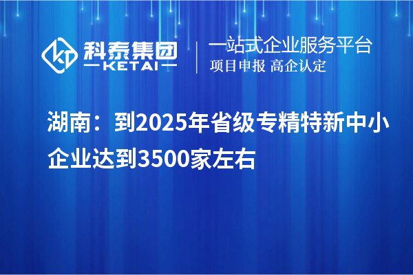 湖南：到2025年省级专精特新中小企业达到3500家左右