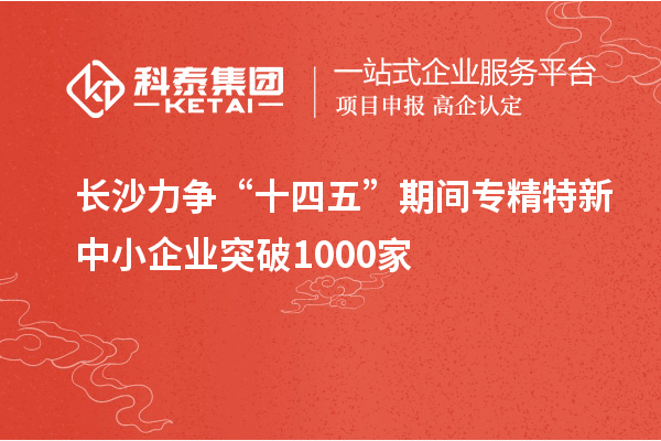 长沙力争“十四五”期间专精特新中小企业突破1000家