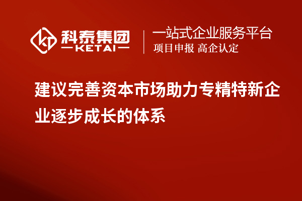 建议完善资本市场助力专精特新企业逐步成长的体系