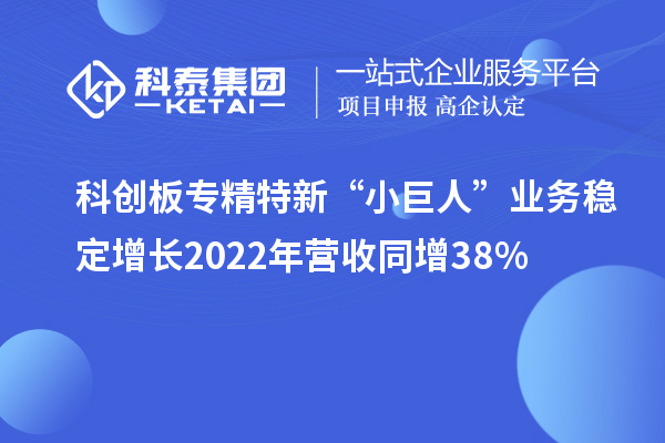 科创板专精特新“小巨人”业务稳定增长 2022年营收同增38%