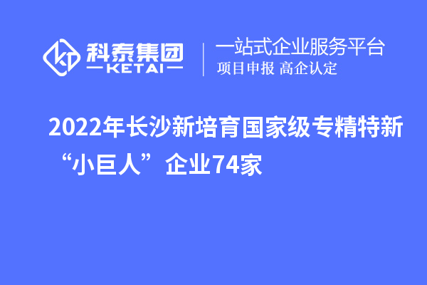 2022年长沙新培育国家级专精特新“小巨人”企业74家