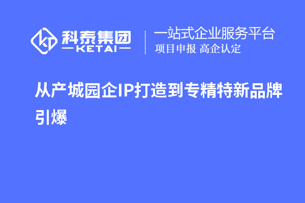 从产城园企IP打造到专精特新品牌引爆