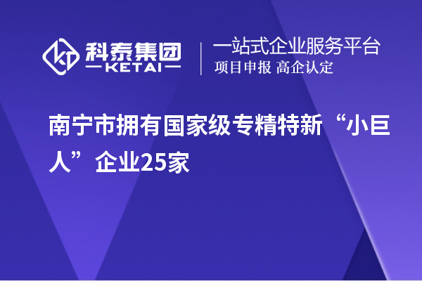 南宁市拥有国家级专精特新“小巨人”企业25家