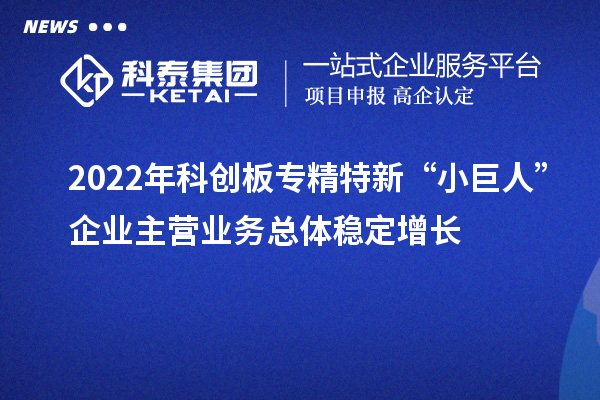 2022年科创板专精特新“小巨人”企业主营业务总体稳定增长