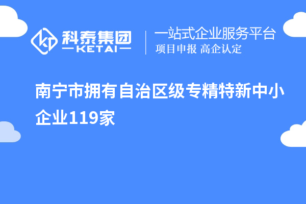 南宁市拥有自治区级专精特新中小企业119家