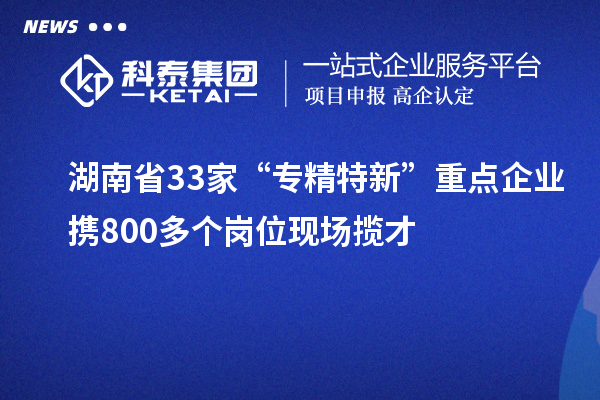 湖南省33家“专精特新”重点企业携800多个岗位现场揽才