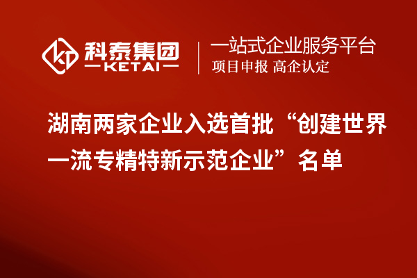 湖南两家企业入选首批“创建世界一流专精特新示范企业”名单