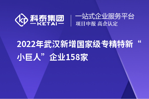 2022年武汉新增国家级专精特新“小巨人”企业158家