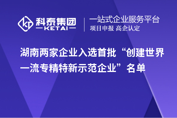 湖南两家企业入选首批“创建世界一流专精特新示范企业”名单