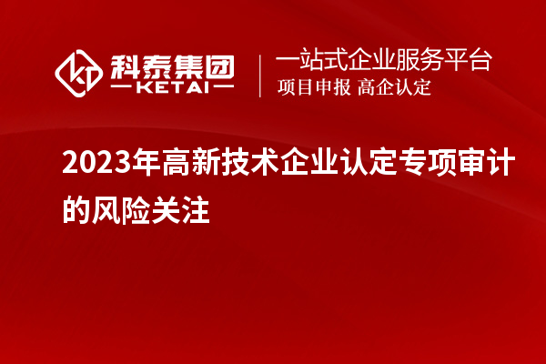 2023年
专项审计的风险关注