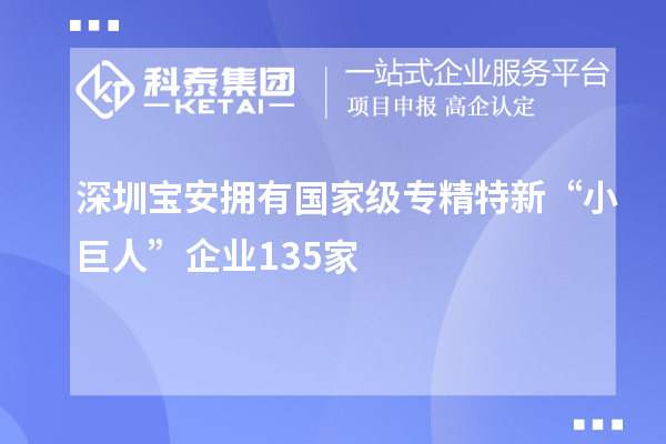 深圳宝安拥有国家级专精特新“小巨人”企业135家