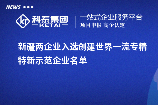 新疆两企业入选创建世界一流专精特新示范企业名单