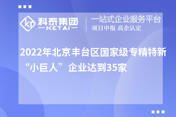 2022年北京丰台区国家级专精特新“小巨人”企业达到35家