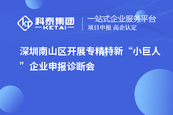 深圳南山区开展专精特新“小巨人”企业申报诊断会