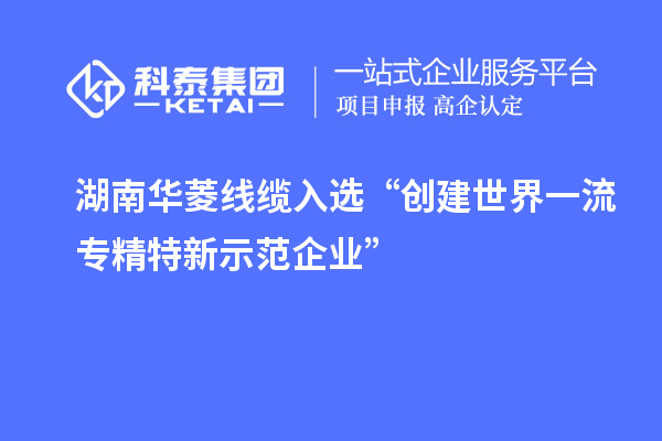 湖南华菱线缆入选“创建世界一流专精特新示范企业”