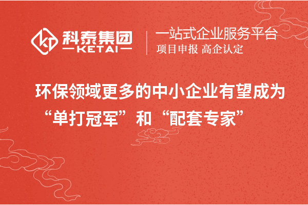 环保领域更多的中小企业有望成为“单打冠军”和“配套专家”